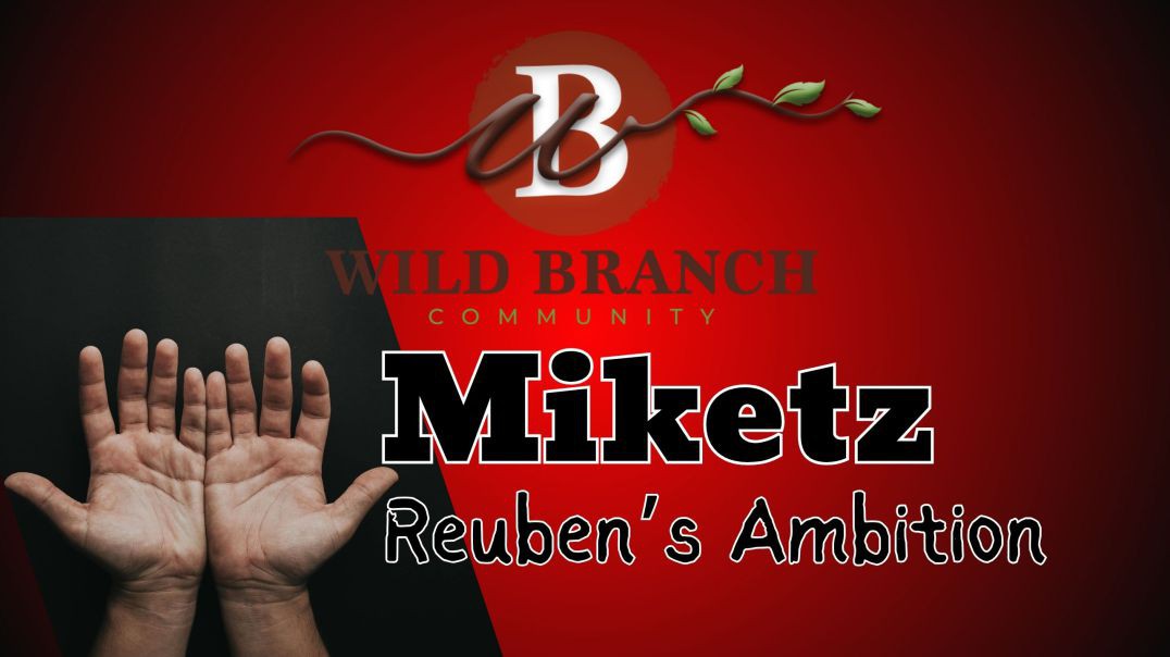 Miketz - Reuben's Ambition