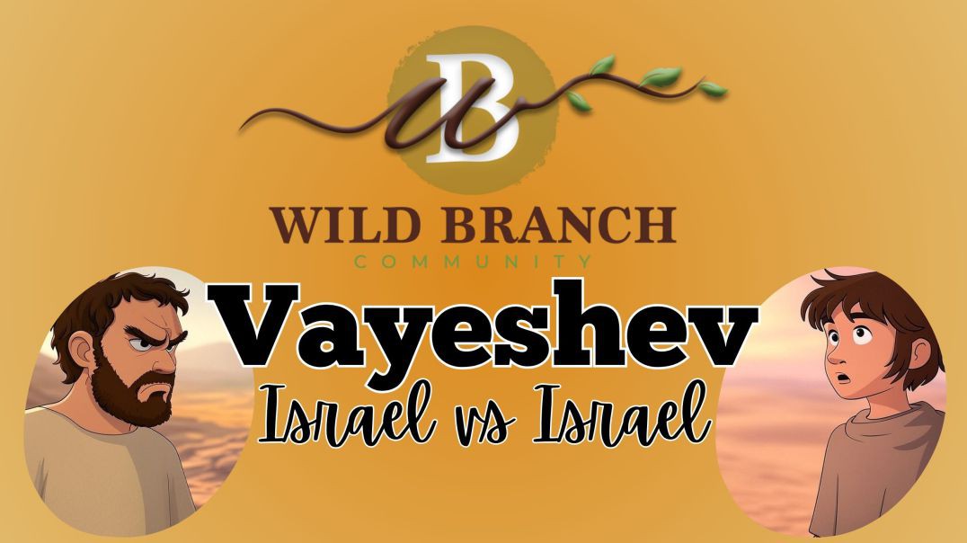 ⁣Vayeshev - Israel vs Israel